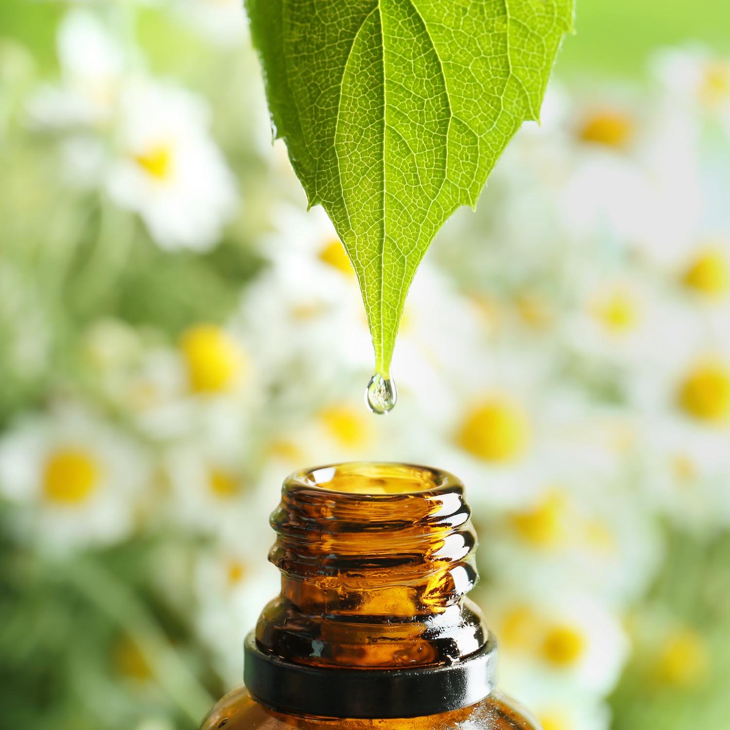 Huiles essentielles et aromathérapie, Pharmacie Crozon
