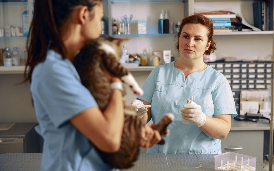 Produits Vétérinaires à Crozon : Expertise et Conseils à la Pharmacie de la place